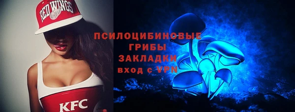 крисы Зерноград