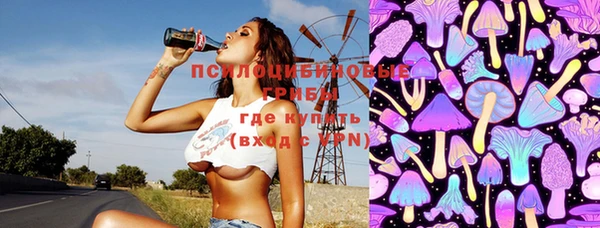 крисы Зерноград