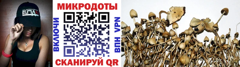 Галлюциногенные грибы мицелий  Купить  Реутов 